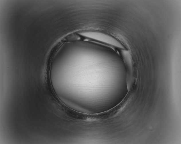 X0000088920388200706291531