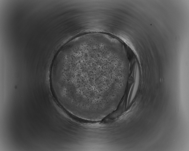 X0000088920389200706291531