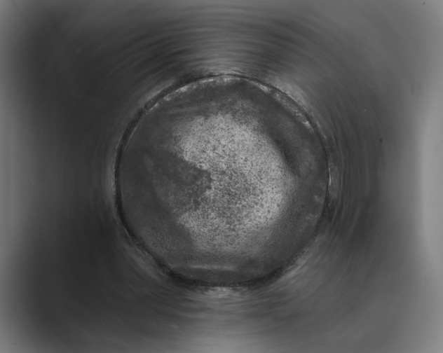 X0000088920390200706291531