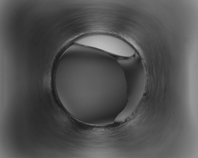 X0000088920391200706291531