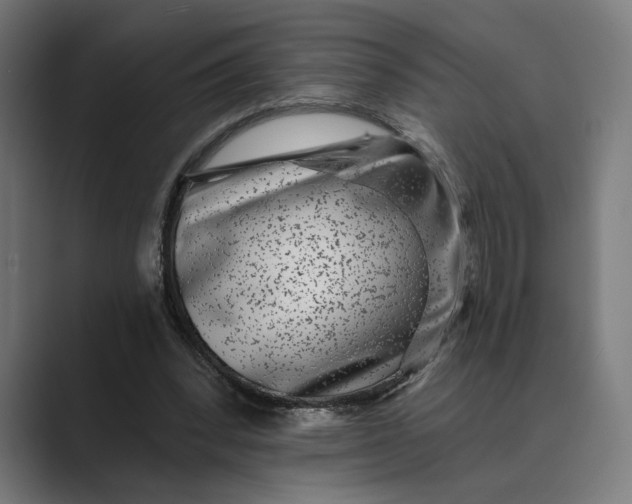 X0000088920392200706291531