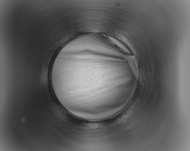 X0000088920394200706291531