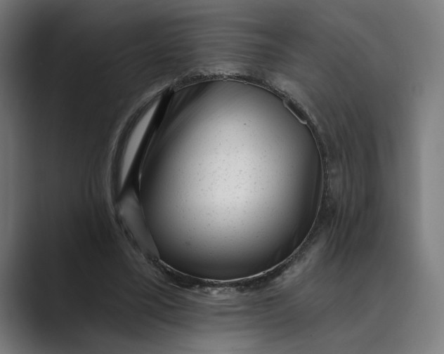 X0000088920395200706291531