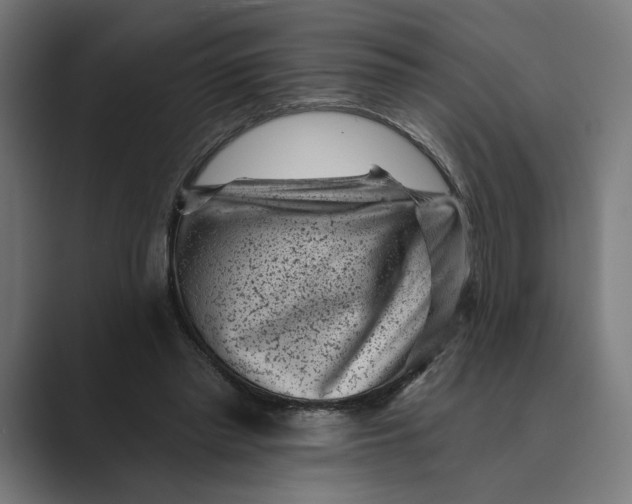 X0000088920397200706291531