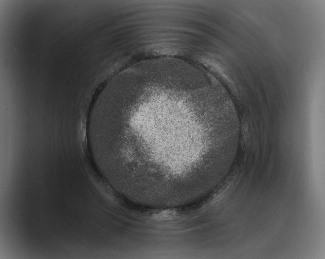 X0000088920398200706291531