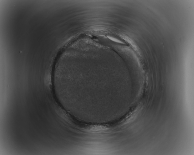 X0000088920399200706291531