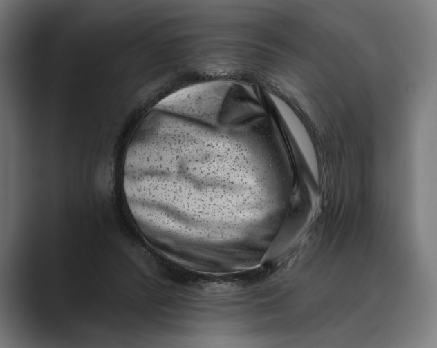 X0000088920400200706291531