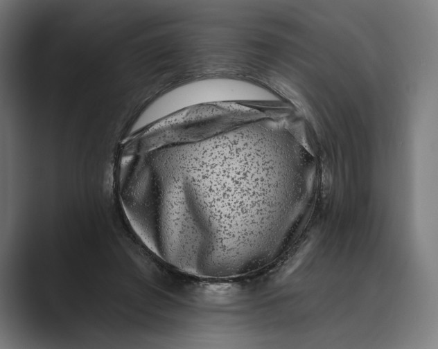X0000088920401200706291531