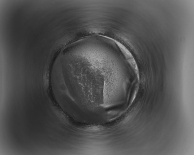 X0000088920402200706291531