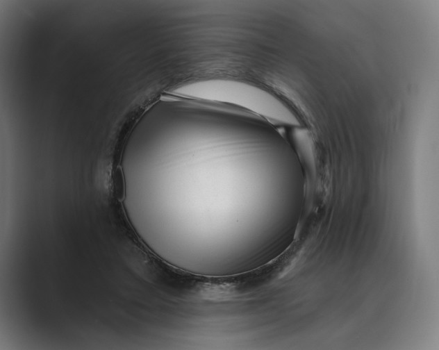 X0000088920403200706291531