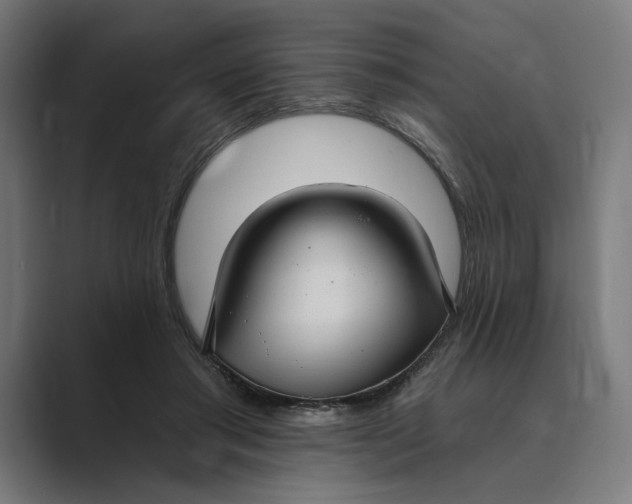 X0000088920405200706291531