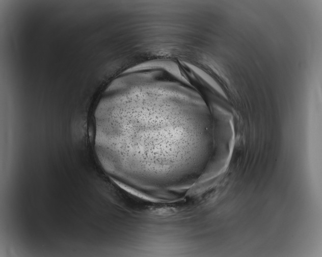 X0000088920407200706291531