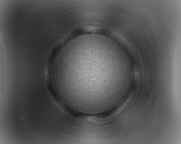 X0000088920408200706291531