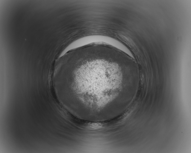 X0000088920409200706291531