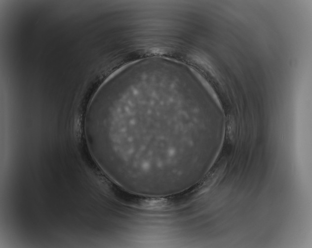 X0000088920410200706291531