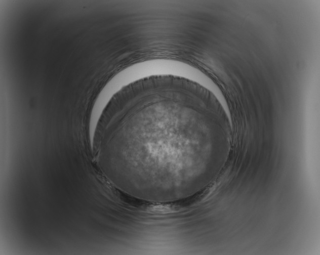 X0000088920413200706291531