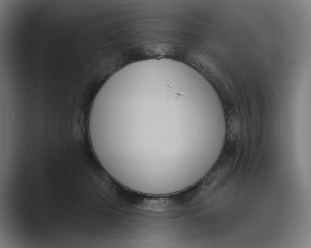 X0000088920414200706291531