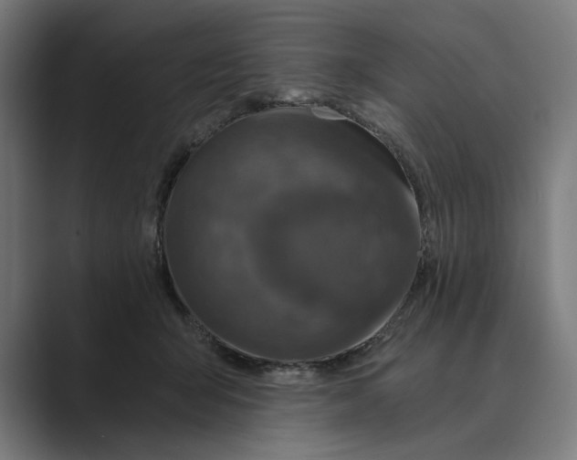 X0000088920415200706291531