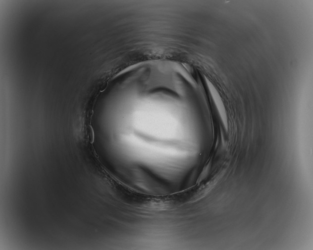 X0000088920416200706291531