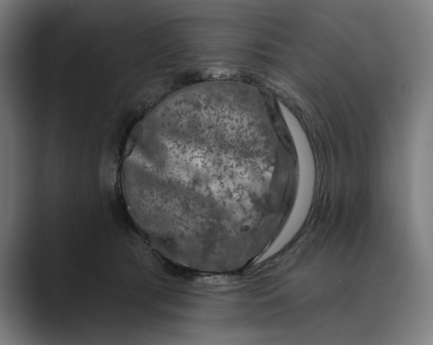 X0000088920417200706291531
