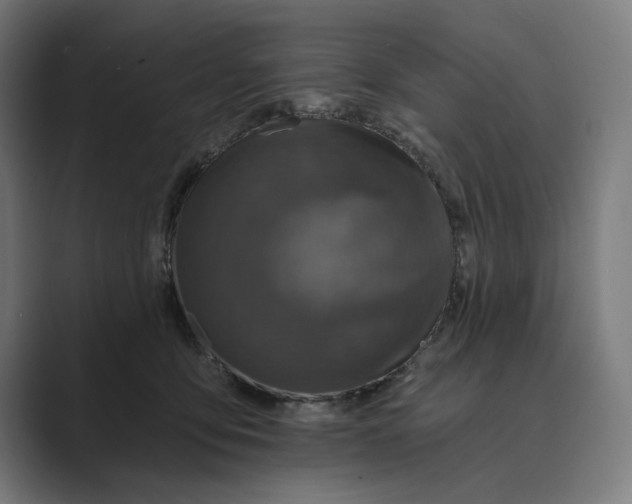 X0000088920419200706291531