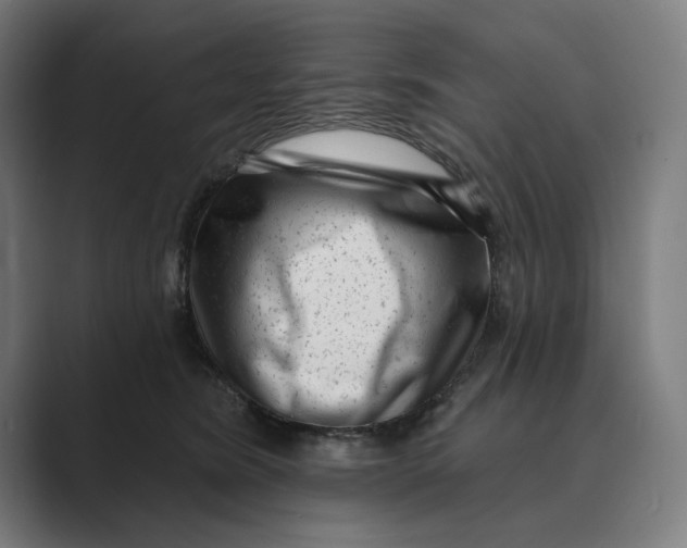 X0000088920420200706291530
