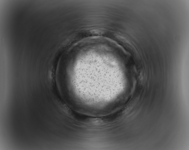 X0000088920424200706291530