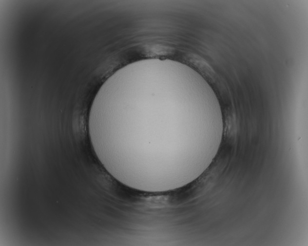 X0000088920426200706291530