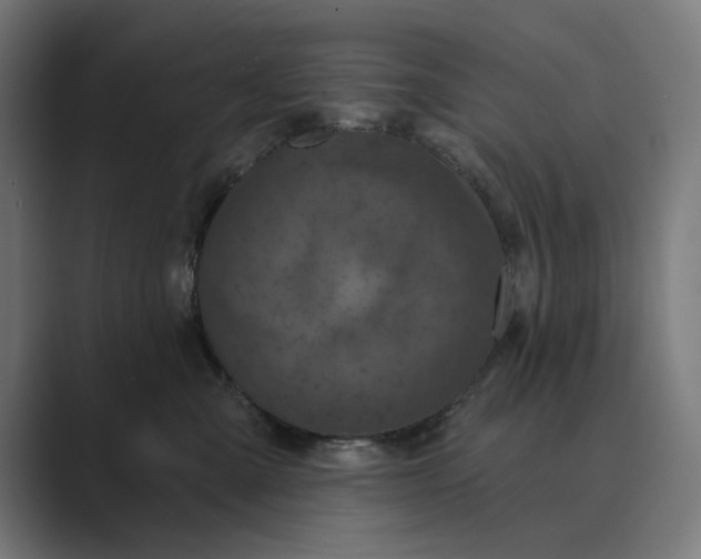 X0000088920427200706291530