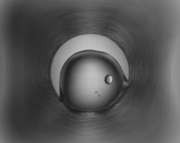 X0000088920428200706291530