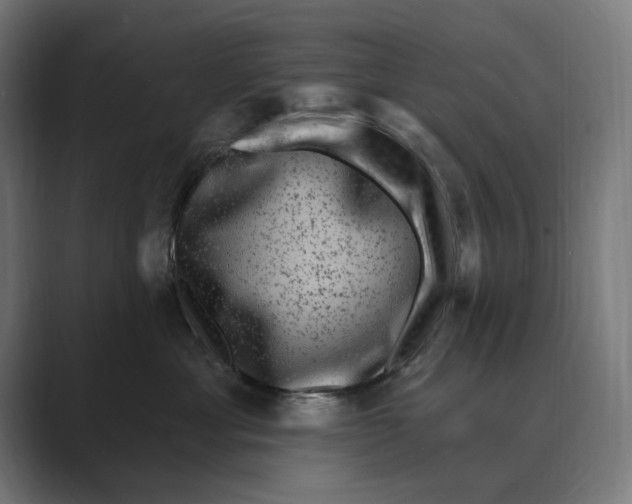 X0000088920429200706291530