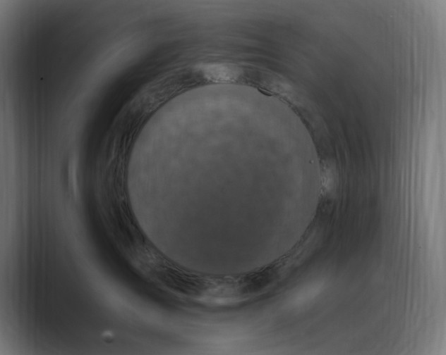 X0000088920431200706291530