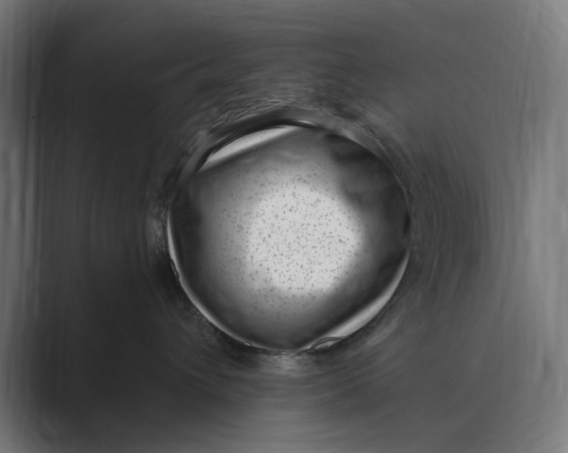 X0000088920432200706291530