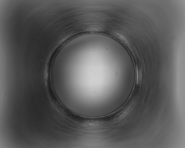 X0000088920435200706291530