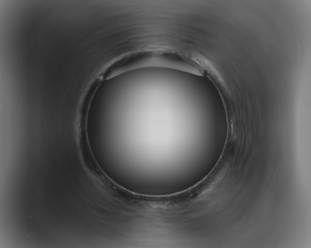 X0000088920436200706291530