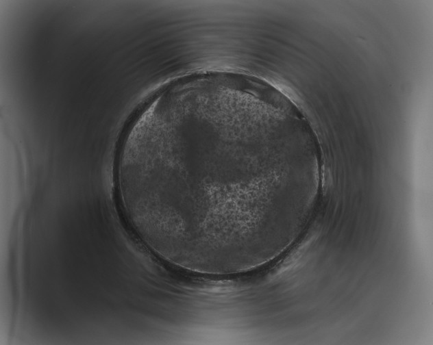 X0000088920438200706291530