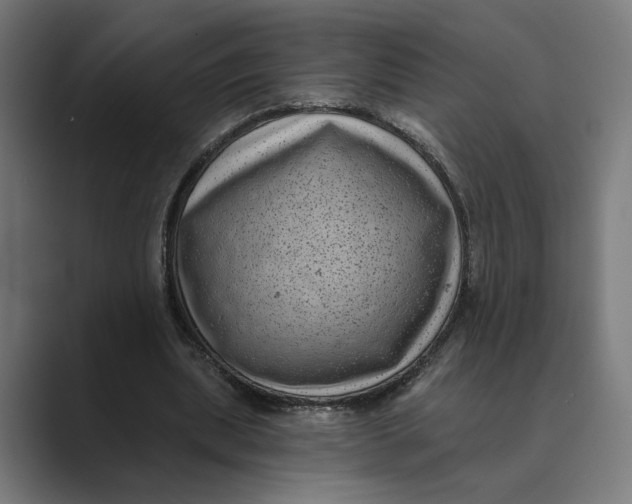 X0000088920439200706291530