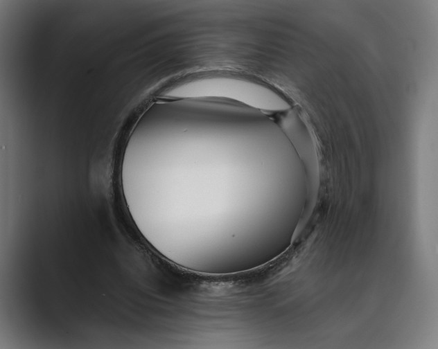 X0000088920440200706291530