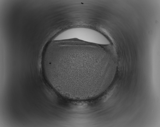 X0000088920443200706291530