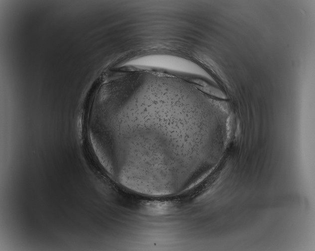 X0000088920444200706291530
