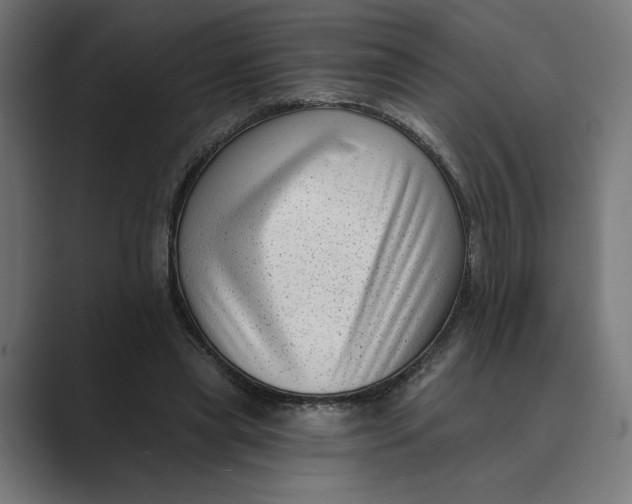 X0000088920445200706291530