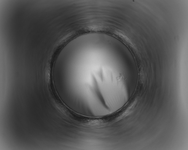 X0000088920446200706291530
