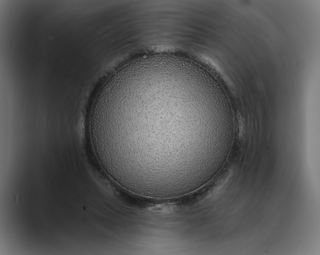 X0000088920447200706291530