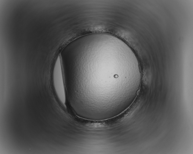 X0000088920449200706291530