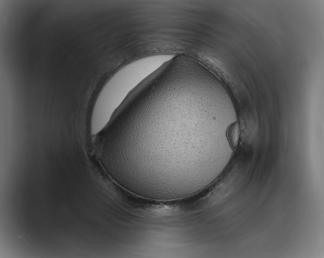 X0000088920453200706291530