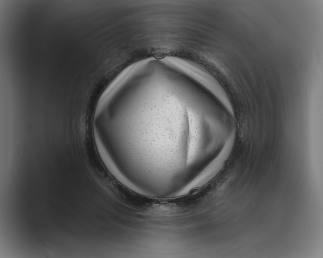 X0000088920455200706291530