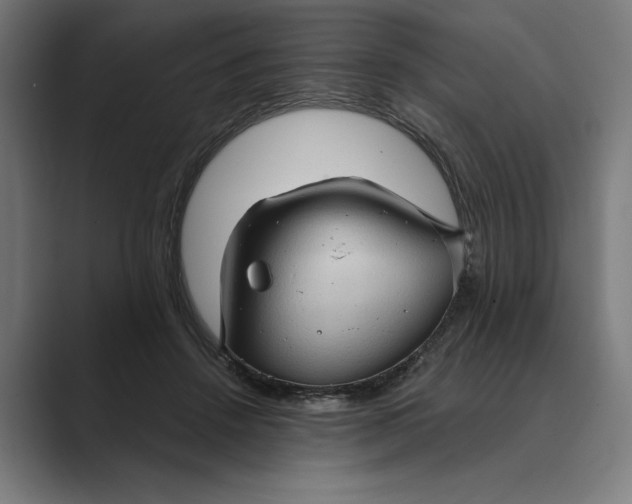 X0000088920456200706291530