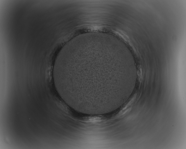 X0000088920462200706291530