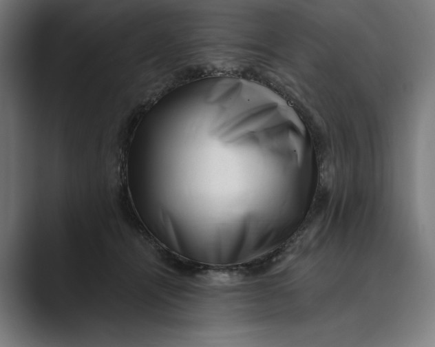 X0000088920464200706291530