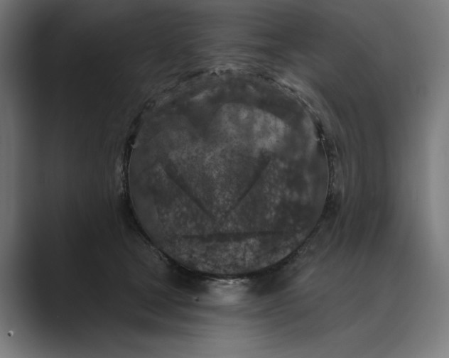 X0000088920465200706291530
